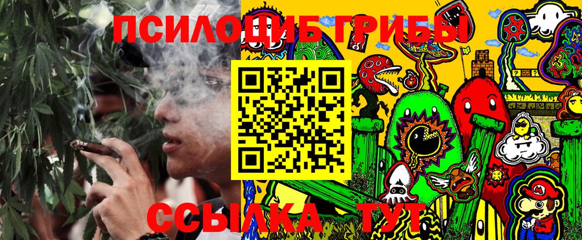 Галлюциногенные грибы Psilocybe Сокол