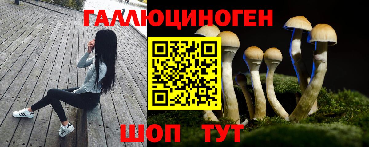 Сокол  Галлюциногенные грибы MAGIC MUSHROOMS  Вход с VPN 